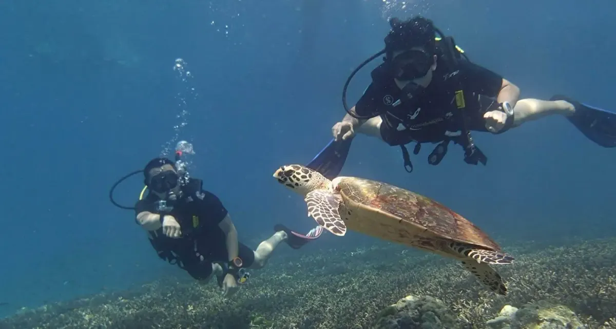 Aussie Divers Phuket, services in Phuket